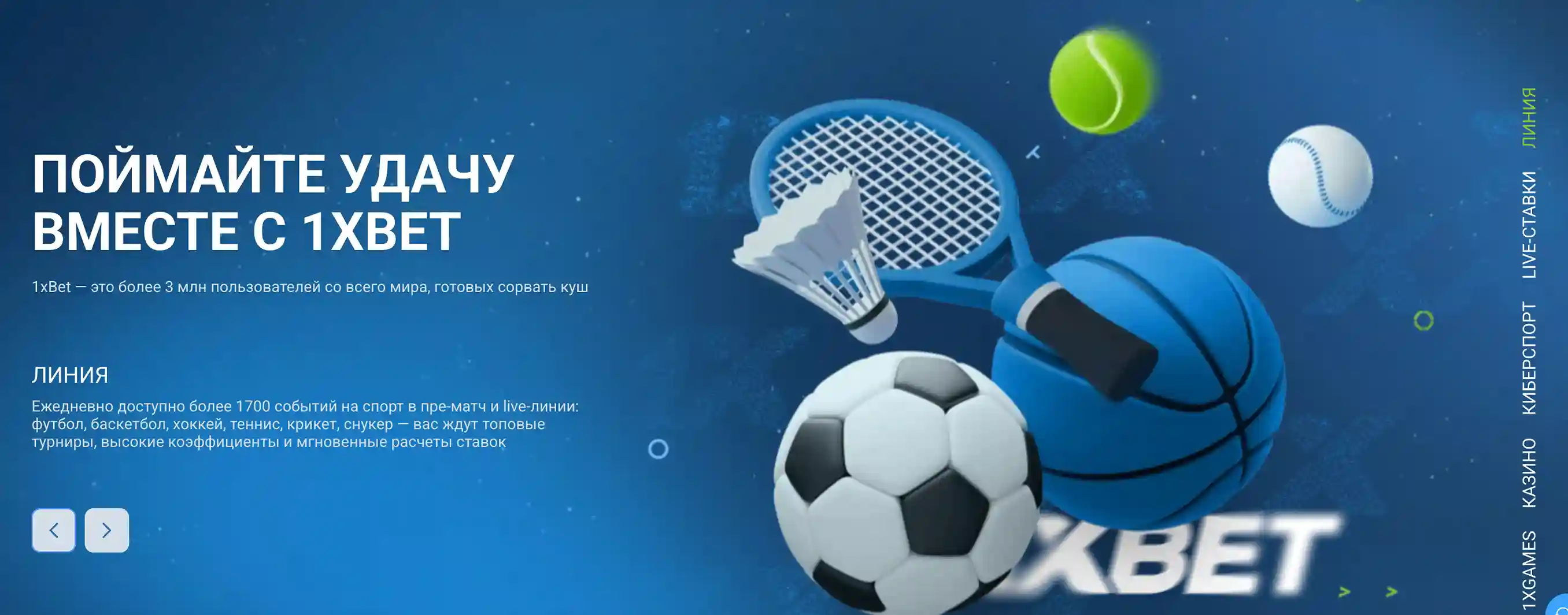 terms and conditions 1xbet условия использования