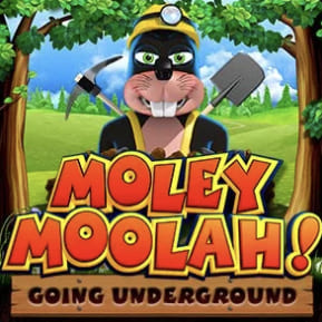 слот Mega Moolah в казино 1xBet
